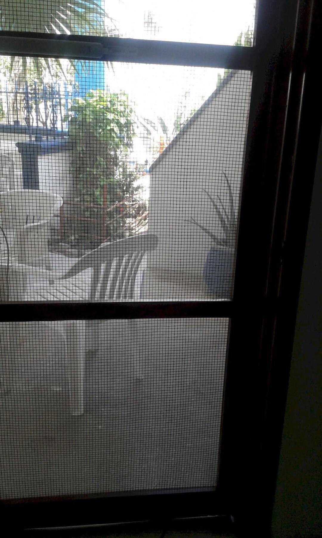 Alicia'S Bed & Breakfast โกซูเมล ภายนอก รูปภาพ